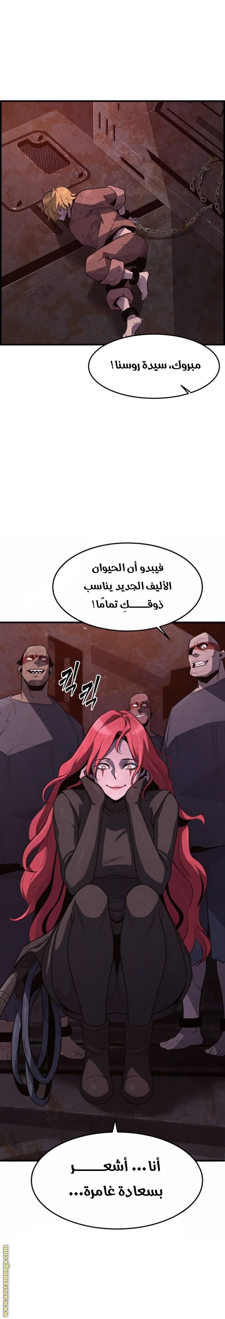 الصفحة 13