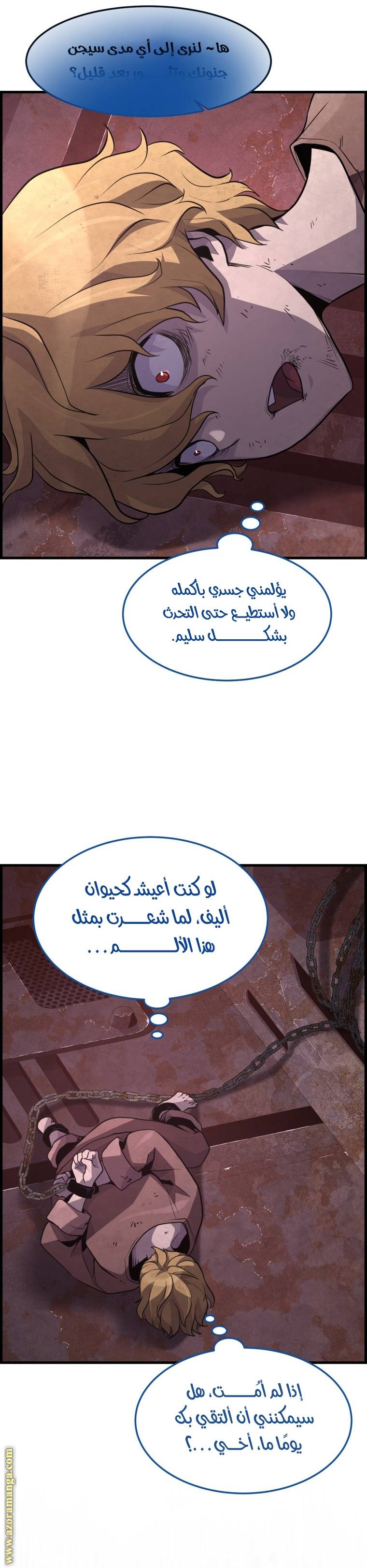 الصفحة 14