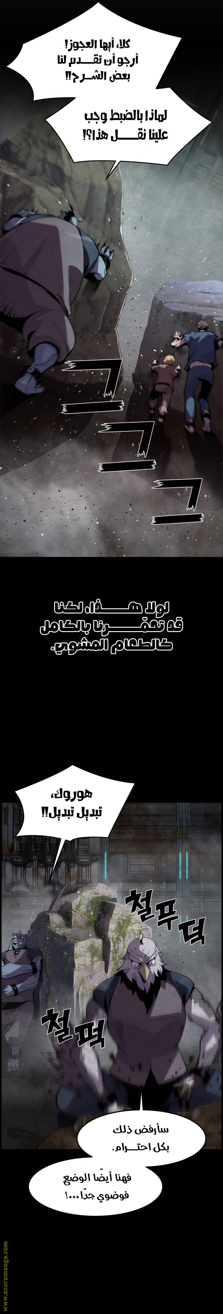 الصفحة 13