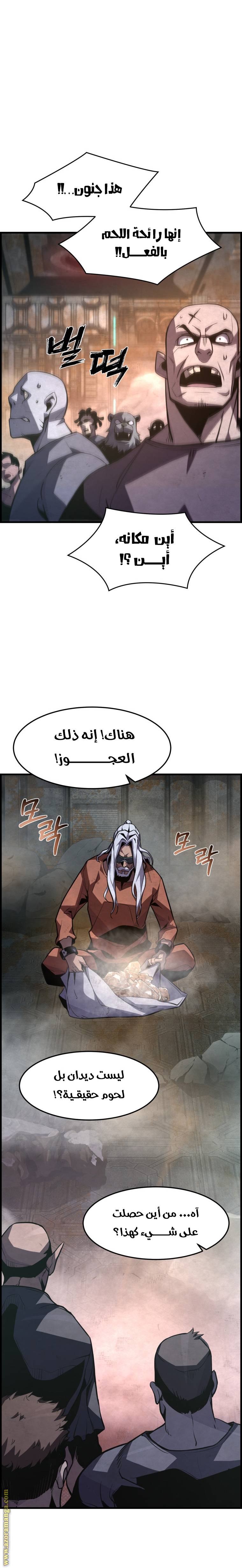 الصفحة 17