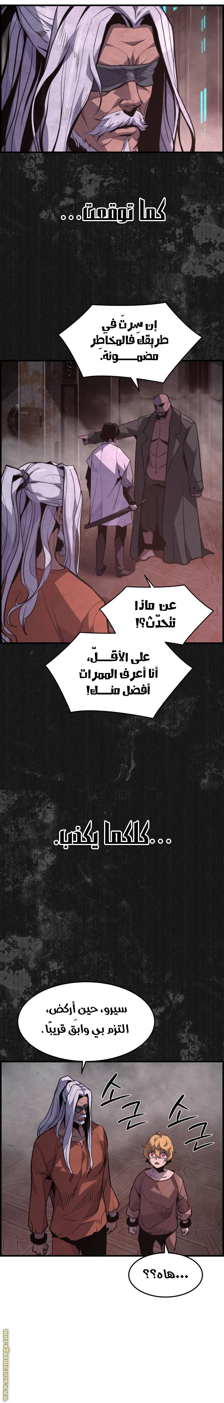 الصفحة 17