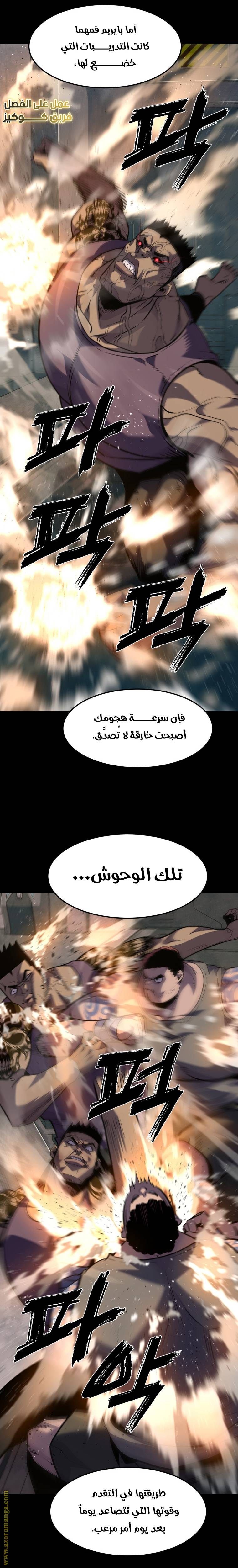 الصفحة 17