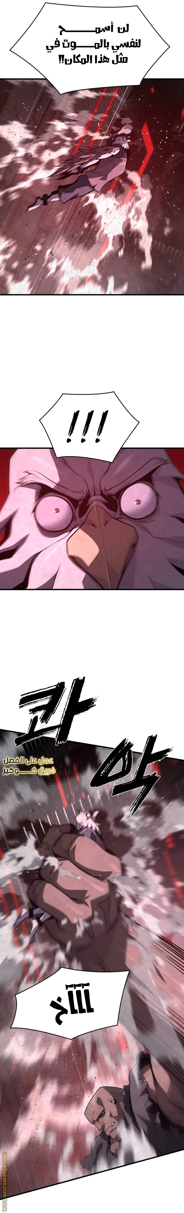 الصفحة 14