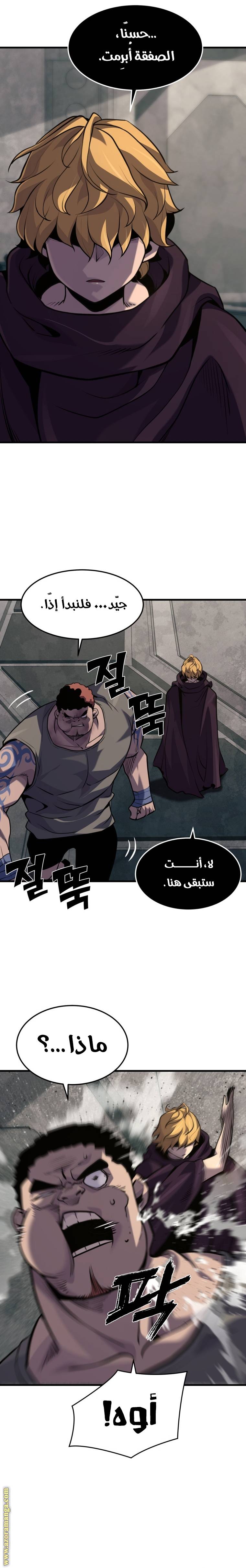 الصفحة 17