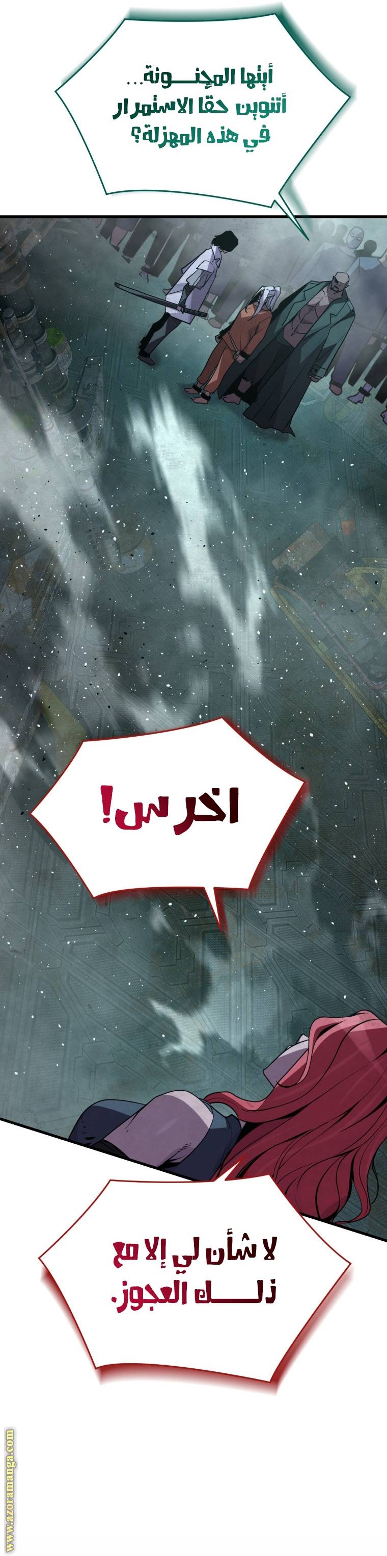 الصفحة 17