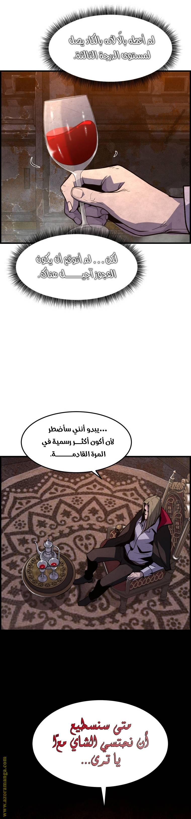 الصفحة 17