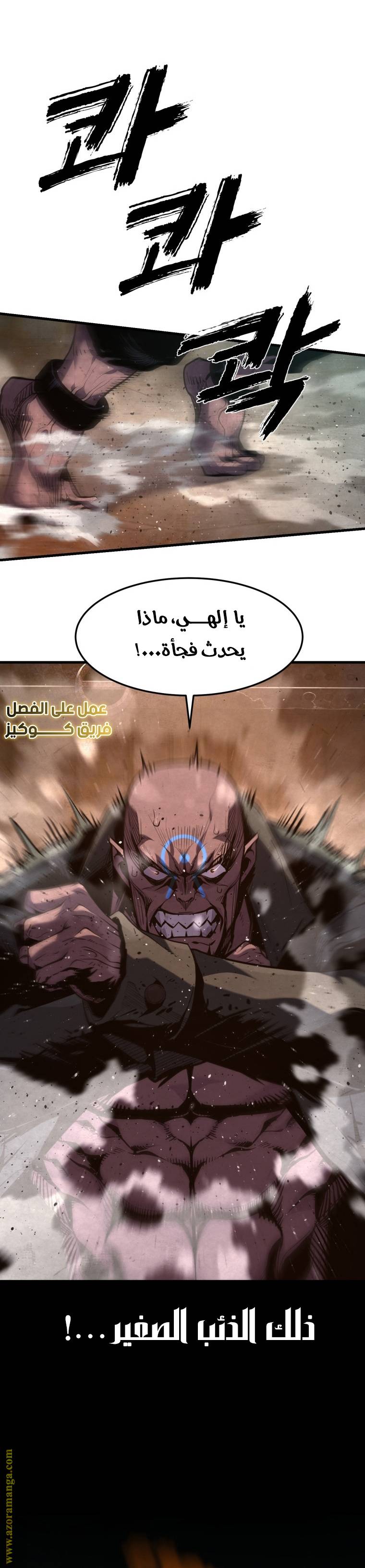 الصفحة 17