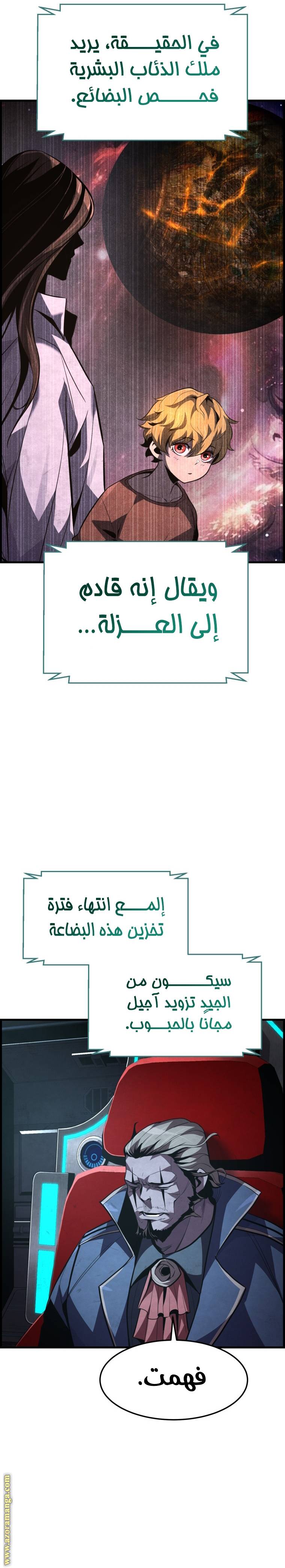 الصفحة 29