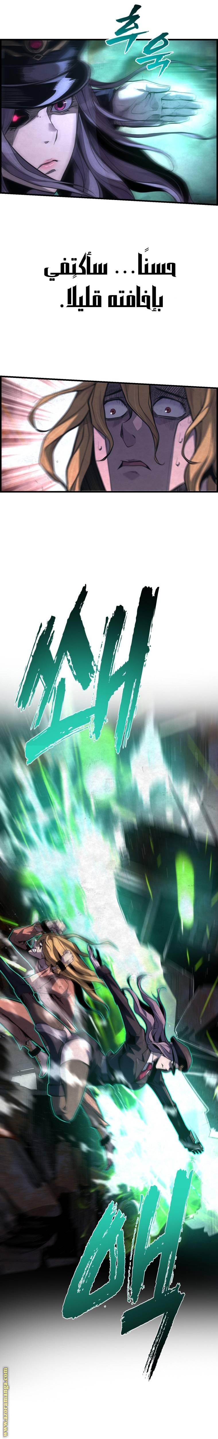 الصفحة 17