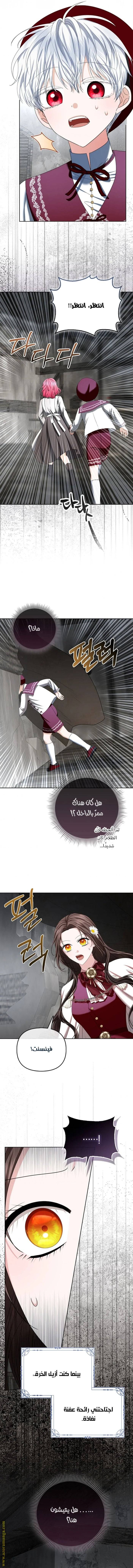 الصفحة 8