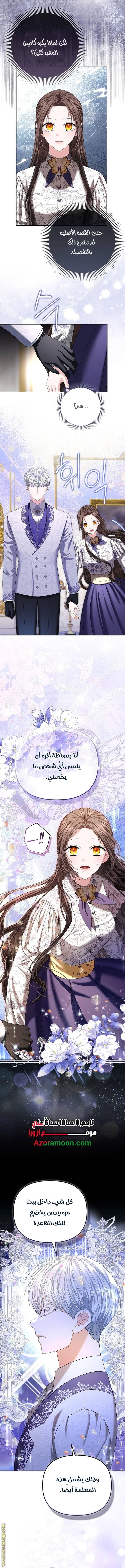 الصفحة 11