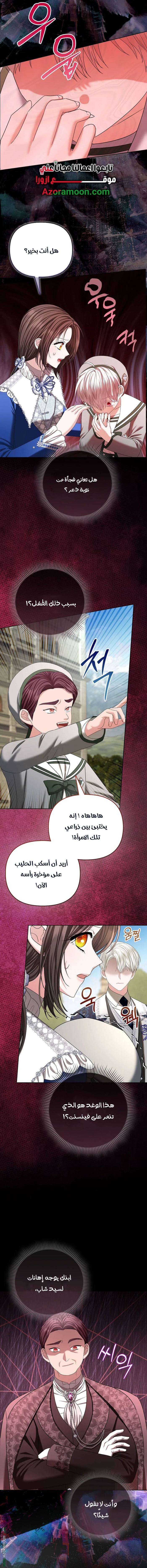 الصفحة 13
