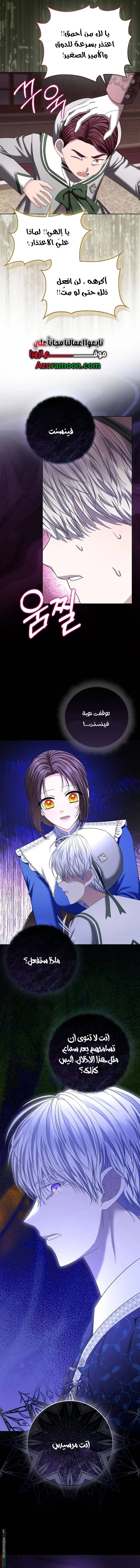 الصفحة 17