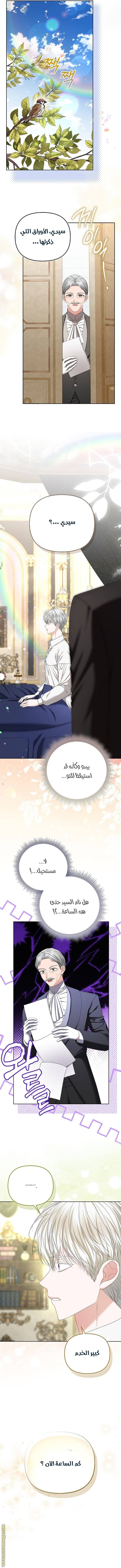 الصفحة 6