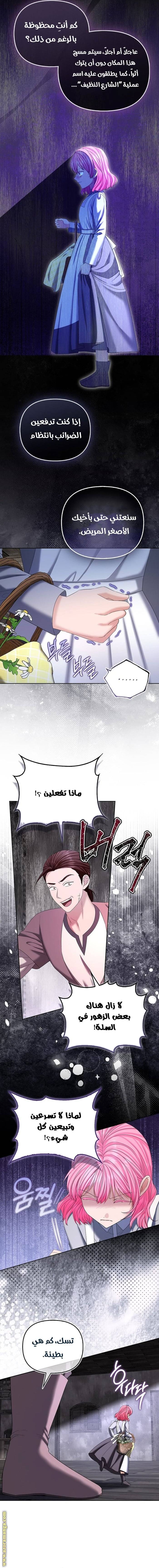 الصفحة 13