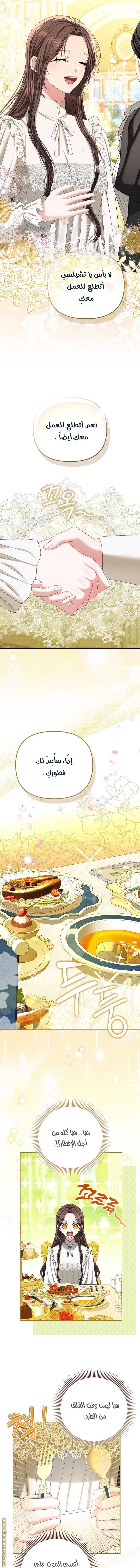 الصفحة 13