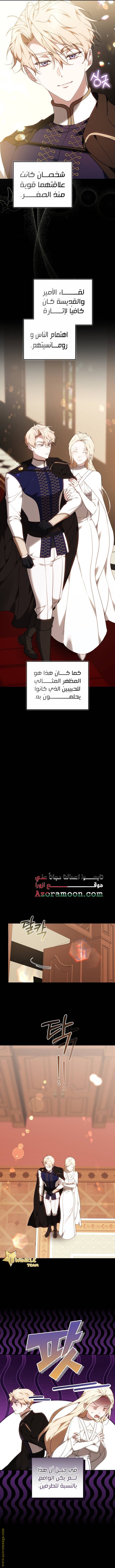 الصفحة 17