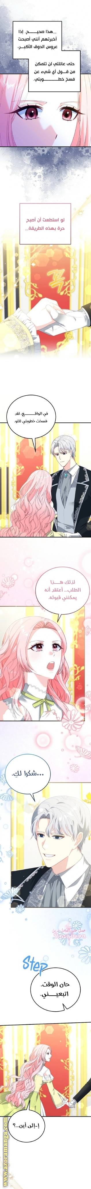 الصفحة 3