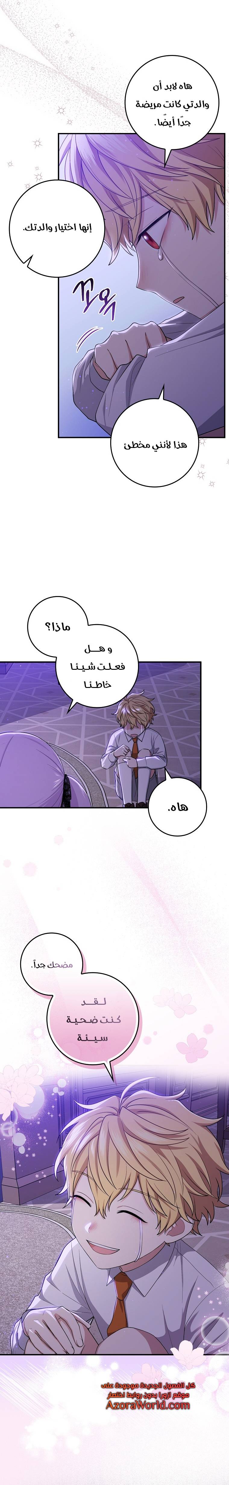 الصفحة 17