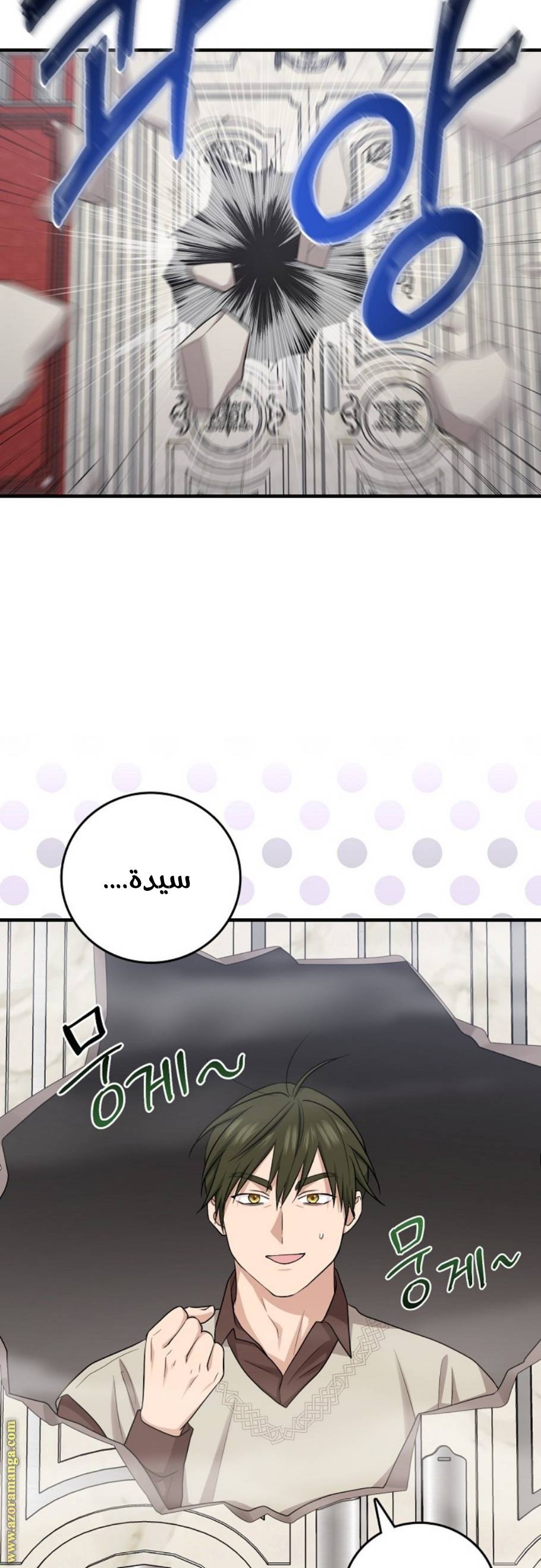 الصفحة 3