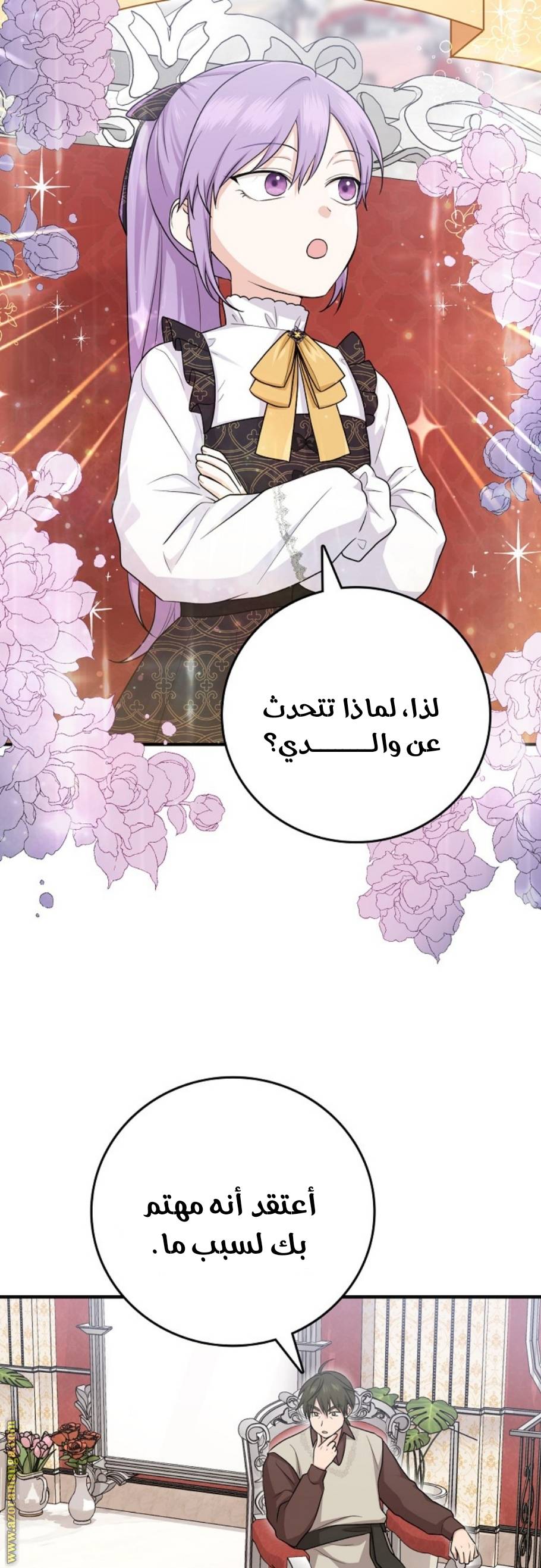 الصفحة 11