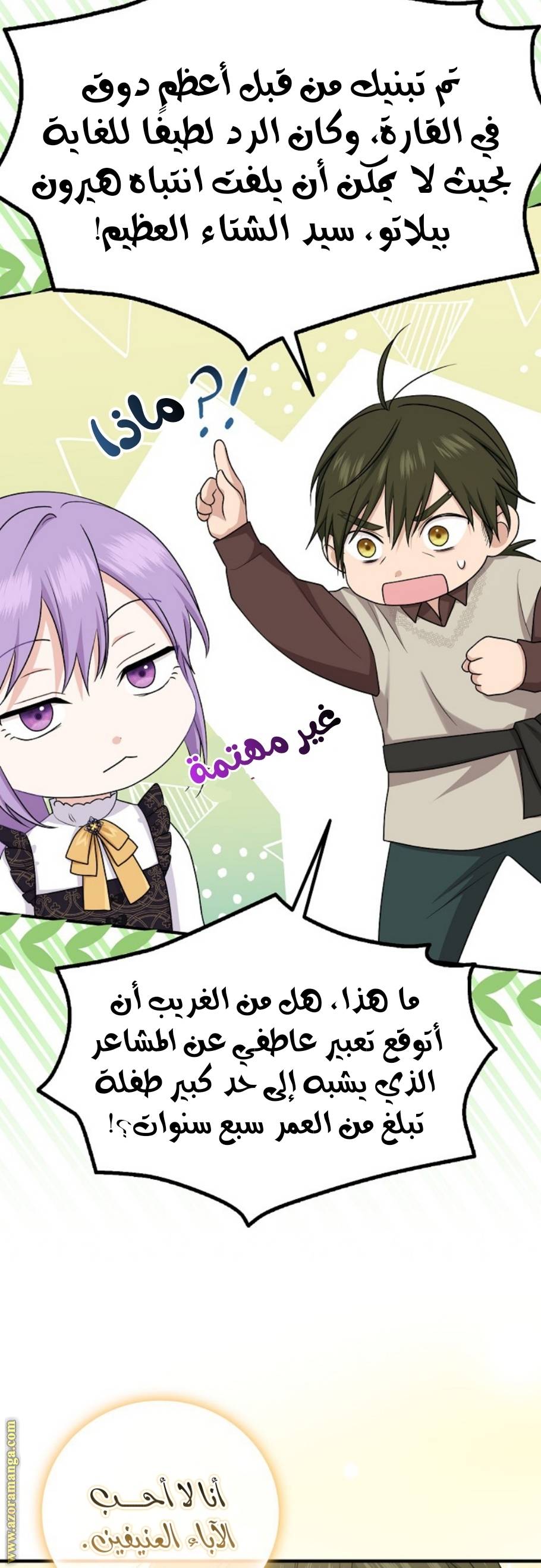 الصفحة 13