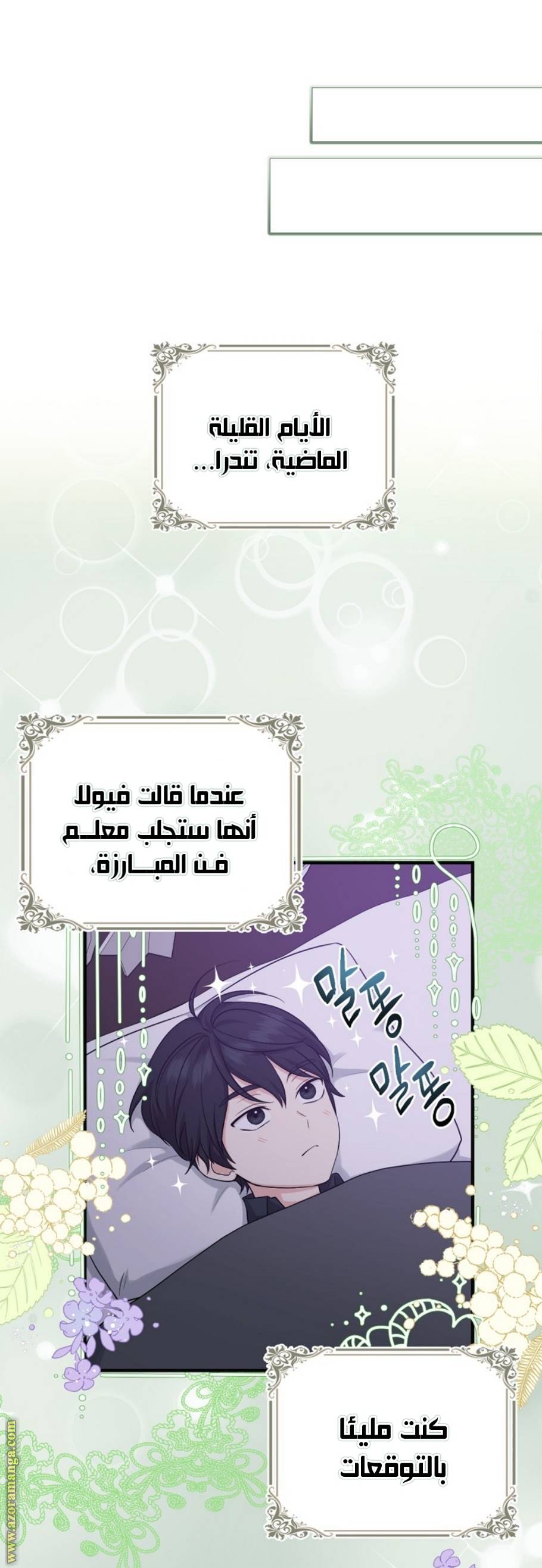 الصفحة 17