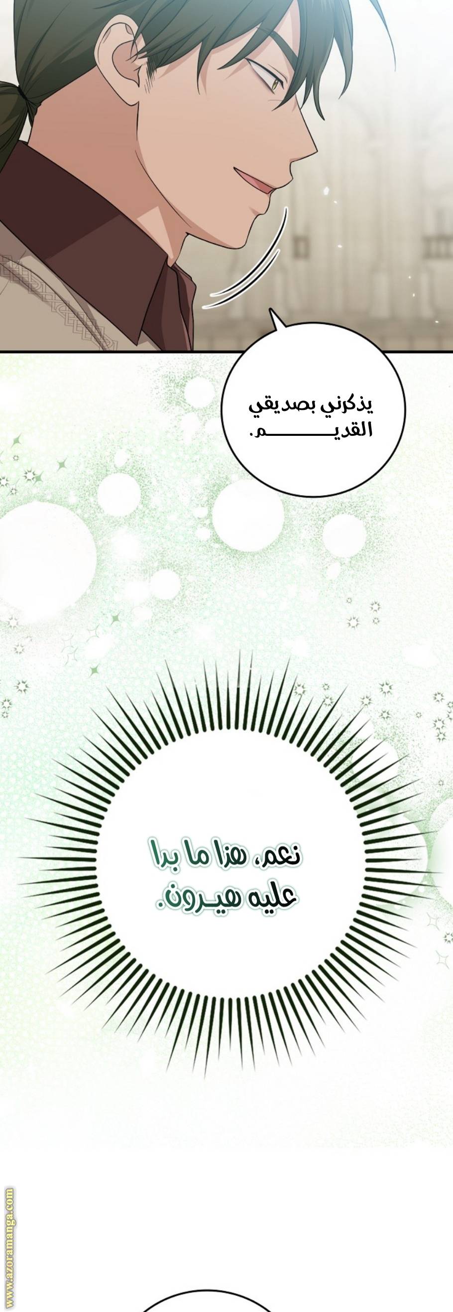 الصفحة 27