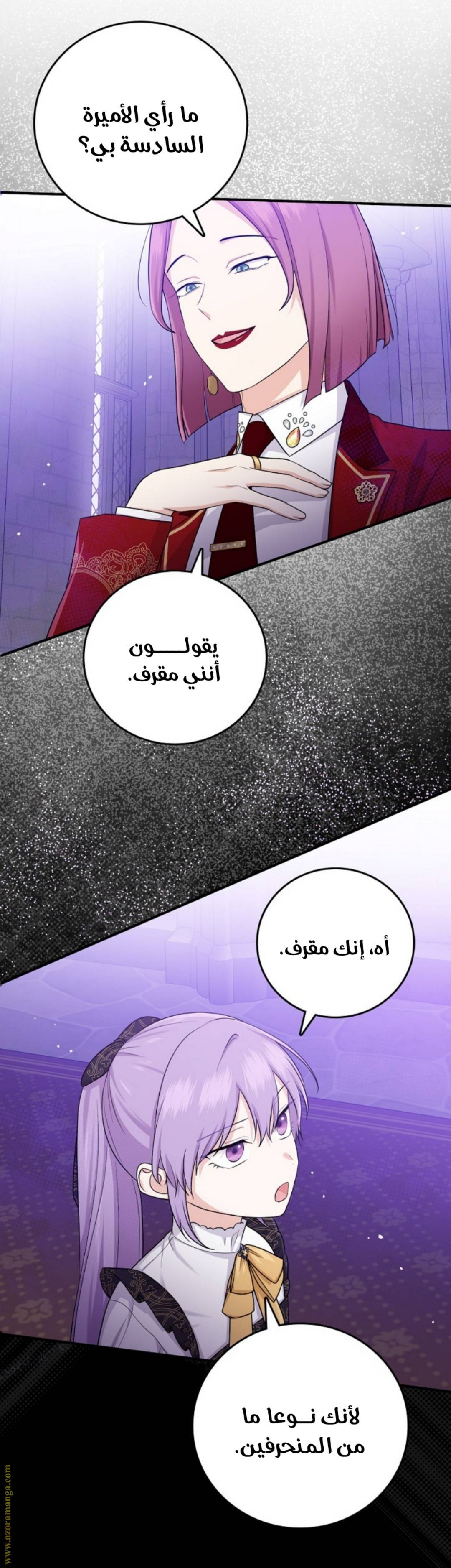 الصفحة 46