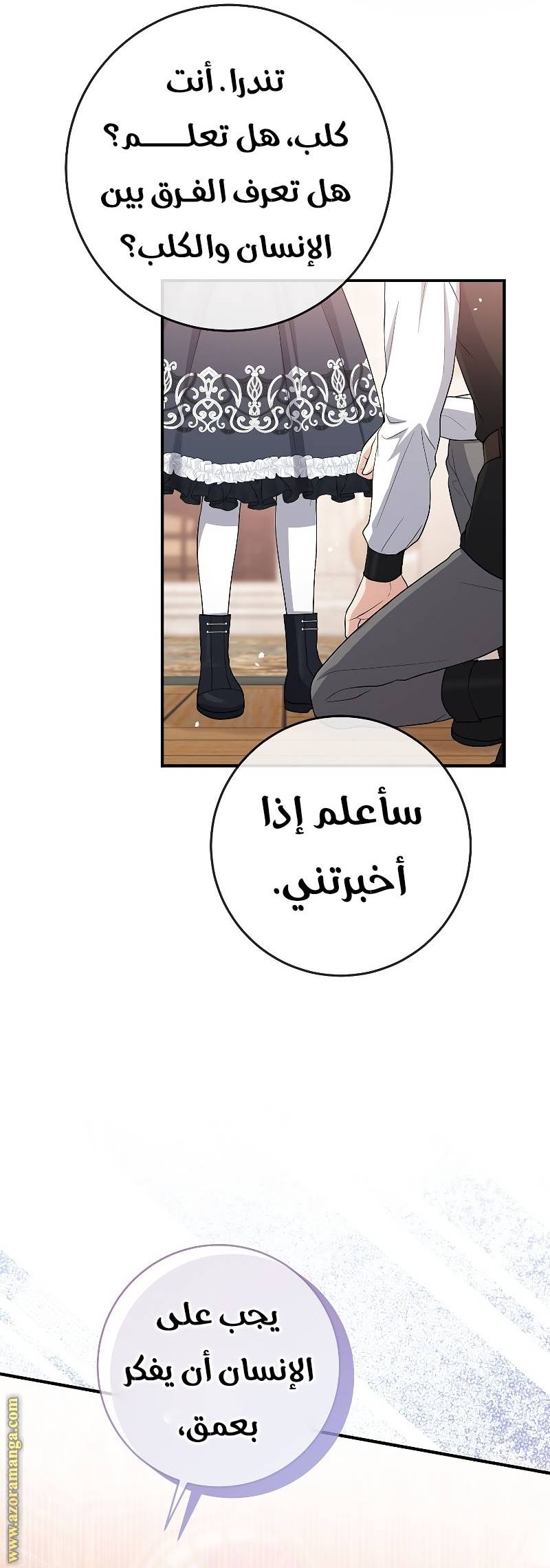 الصفحة 43