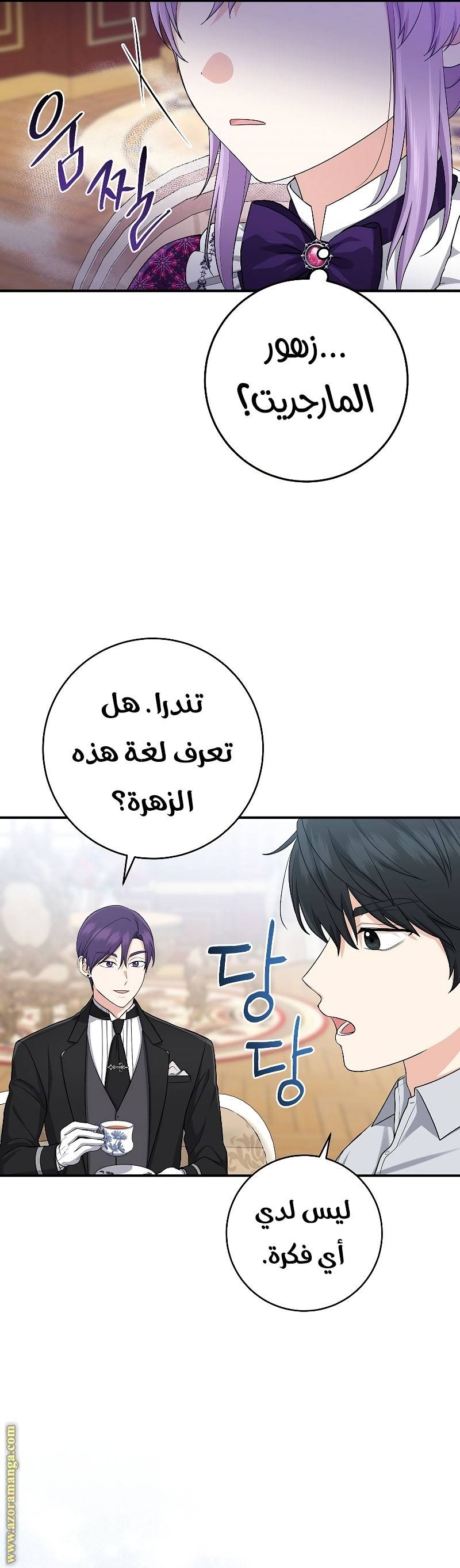 الصفحة 48