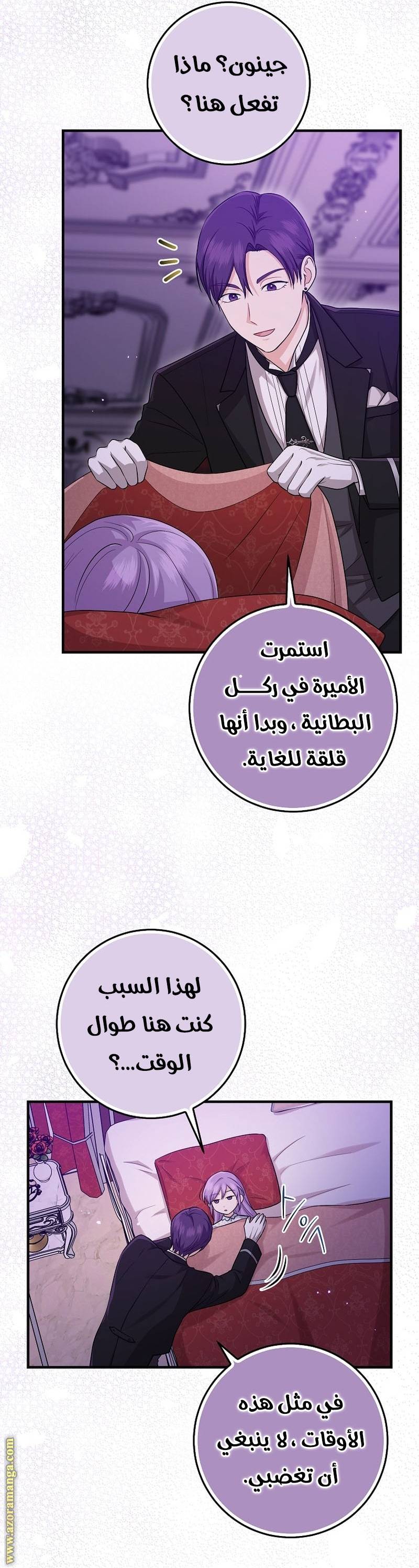 الصفحة 25