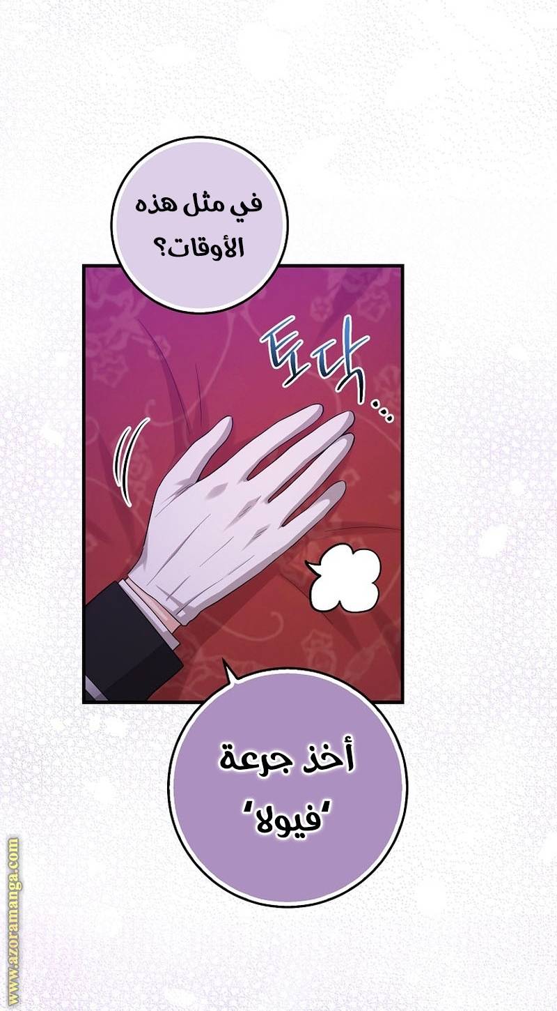 الصفحة 26