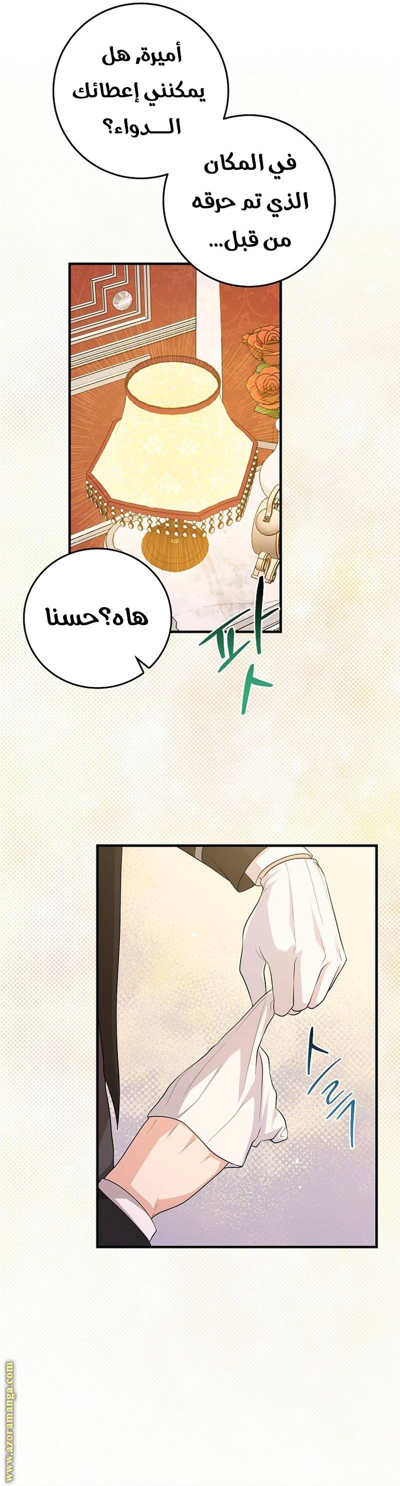 الصفحة 30
