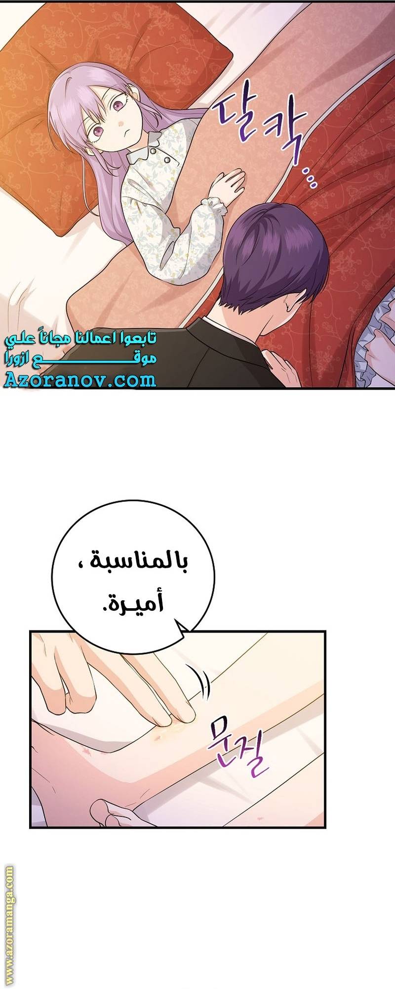 الصفحة 31