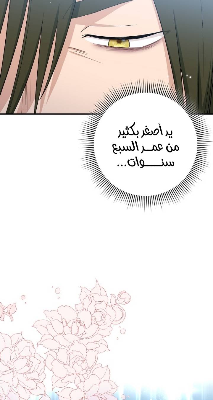 الصفحة 24