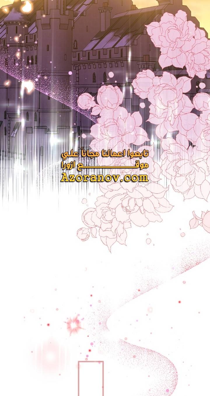 الصفحة 26