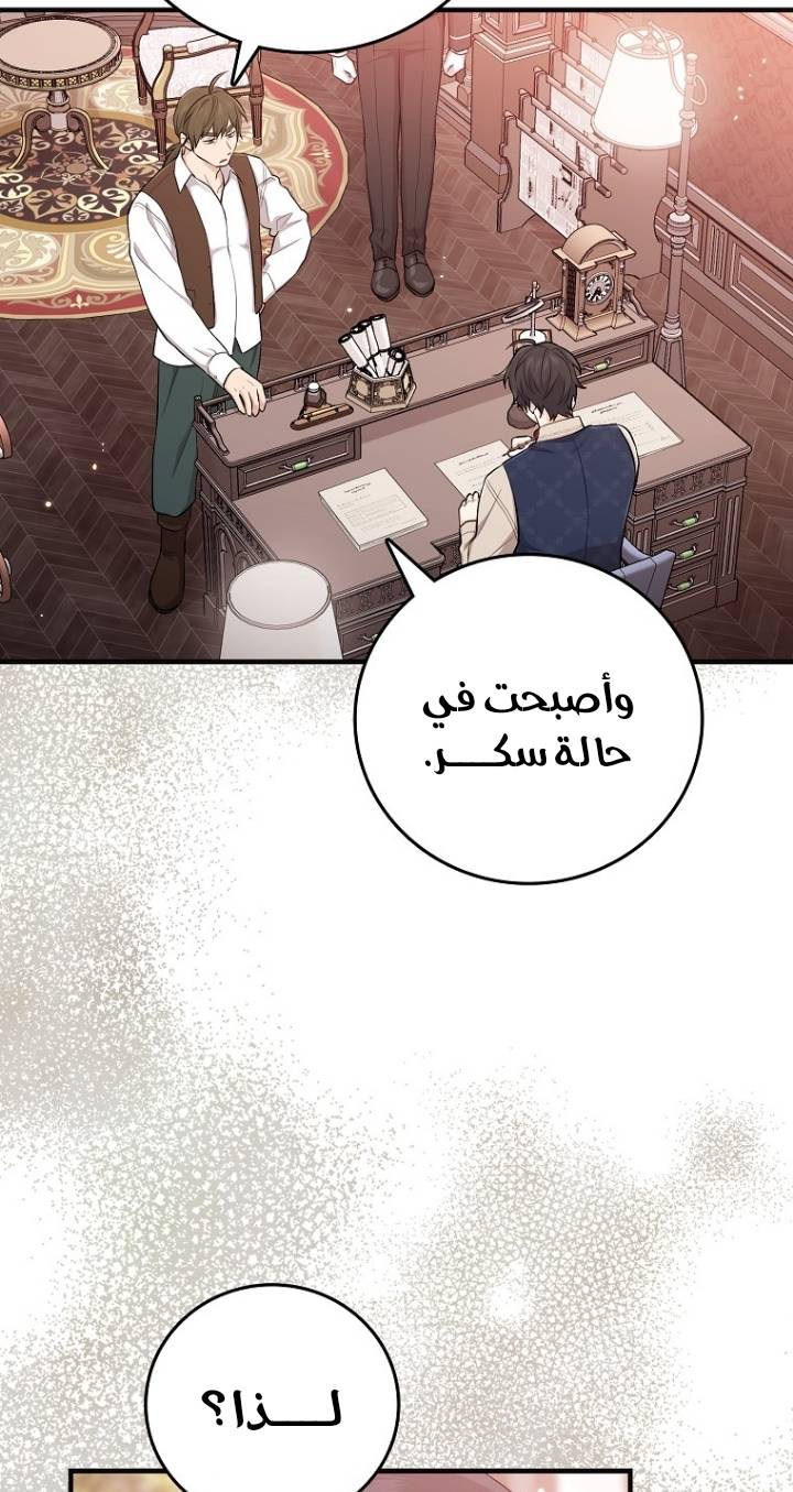 الصفحة 39