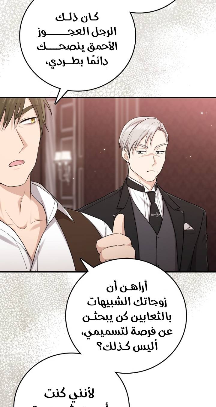 الصفحة 41