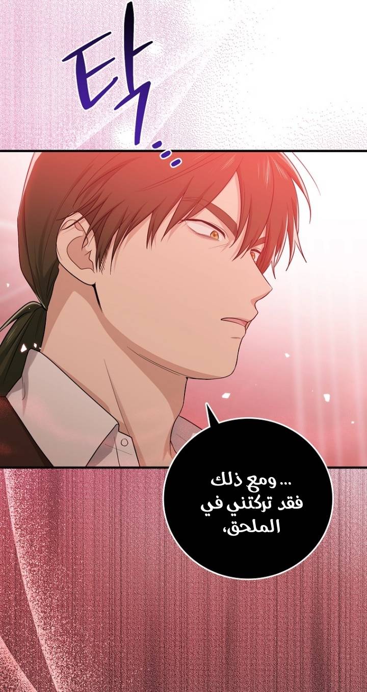 الصفحة 45