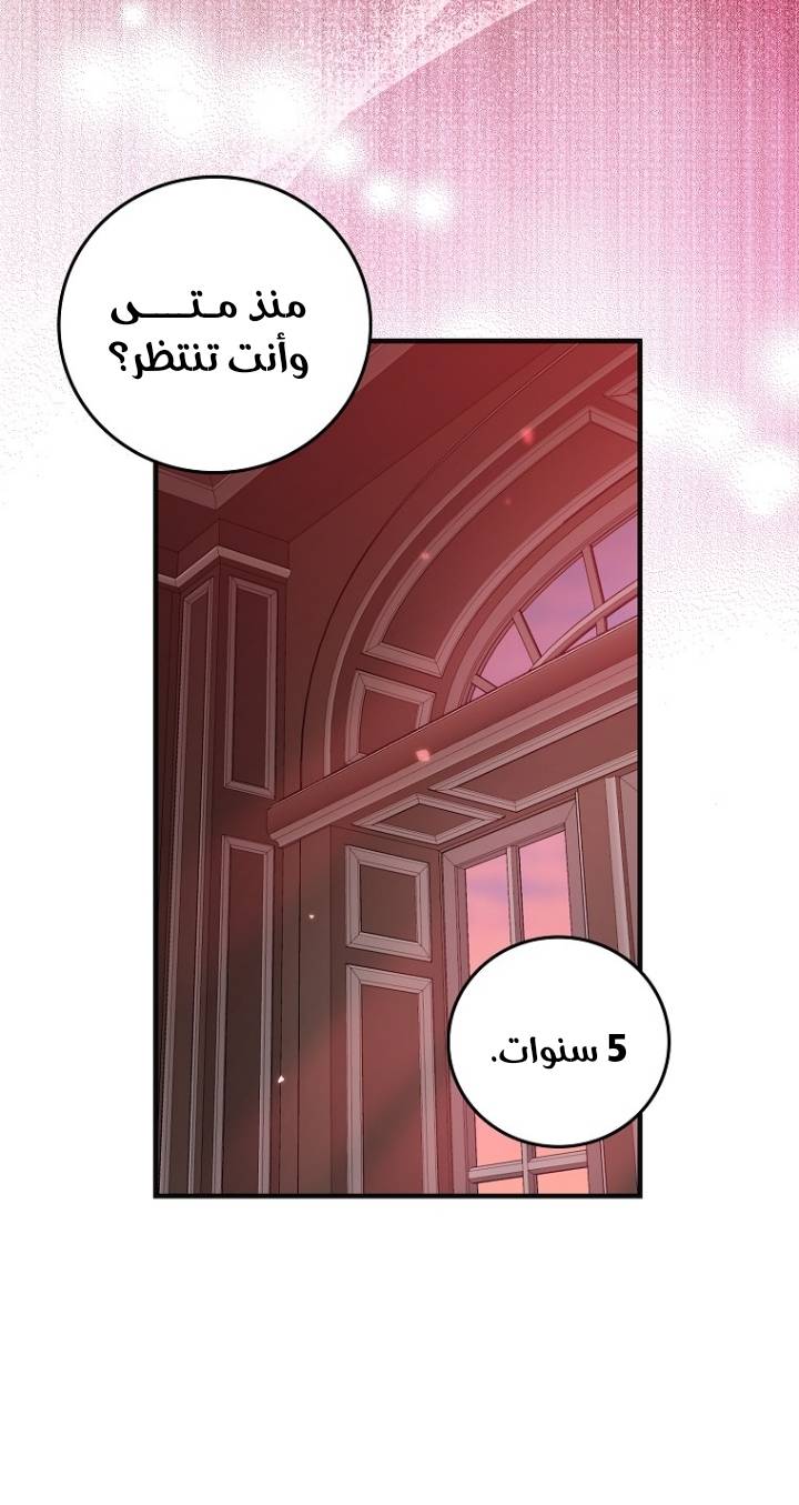 الصفحة 47