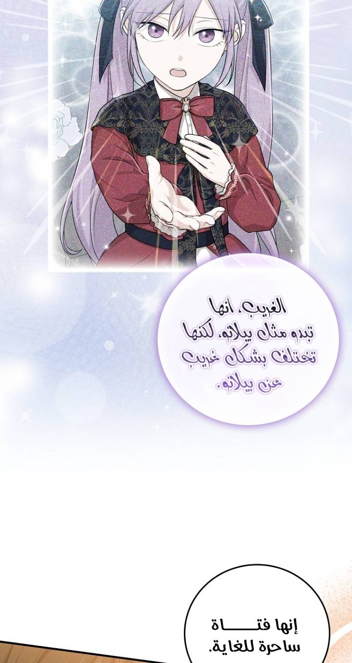 الصفحة 60