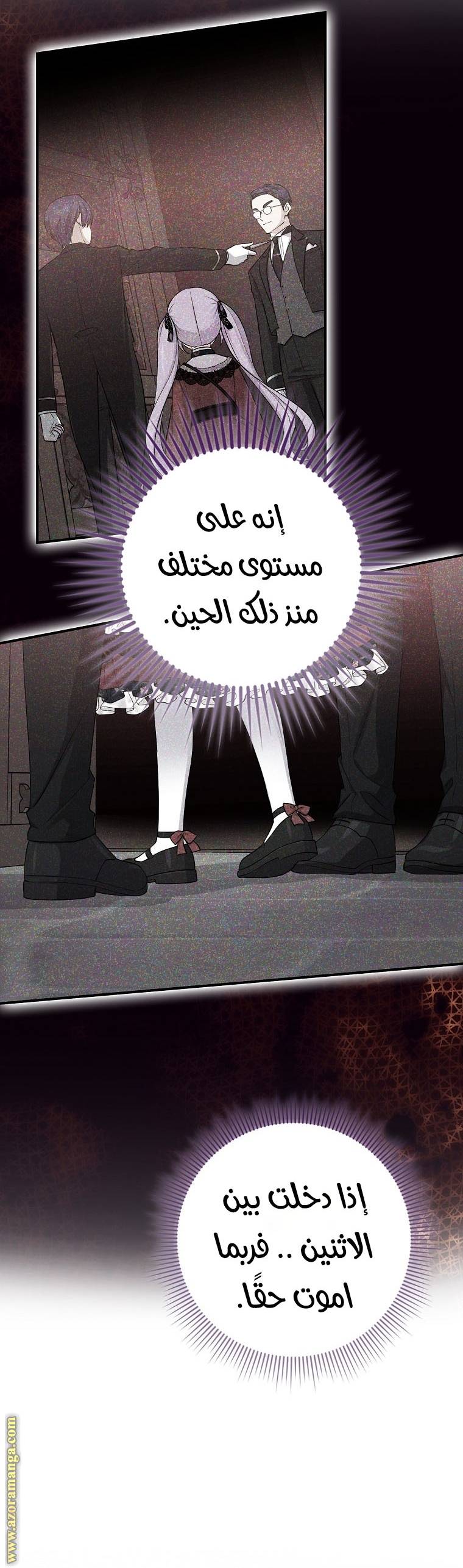 الصفحة 17