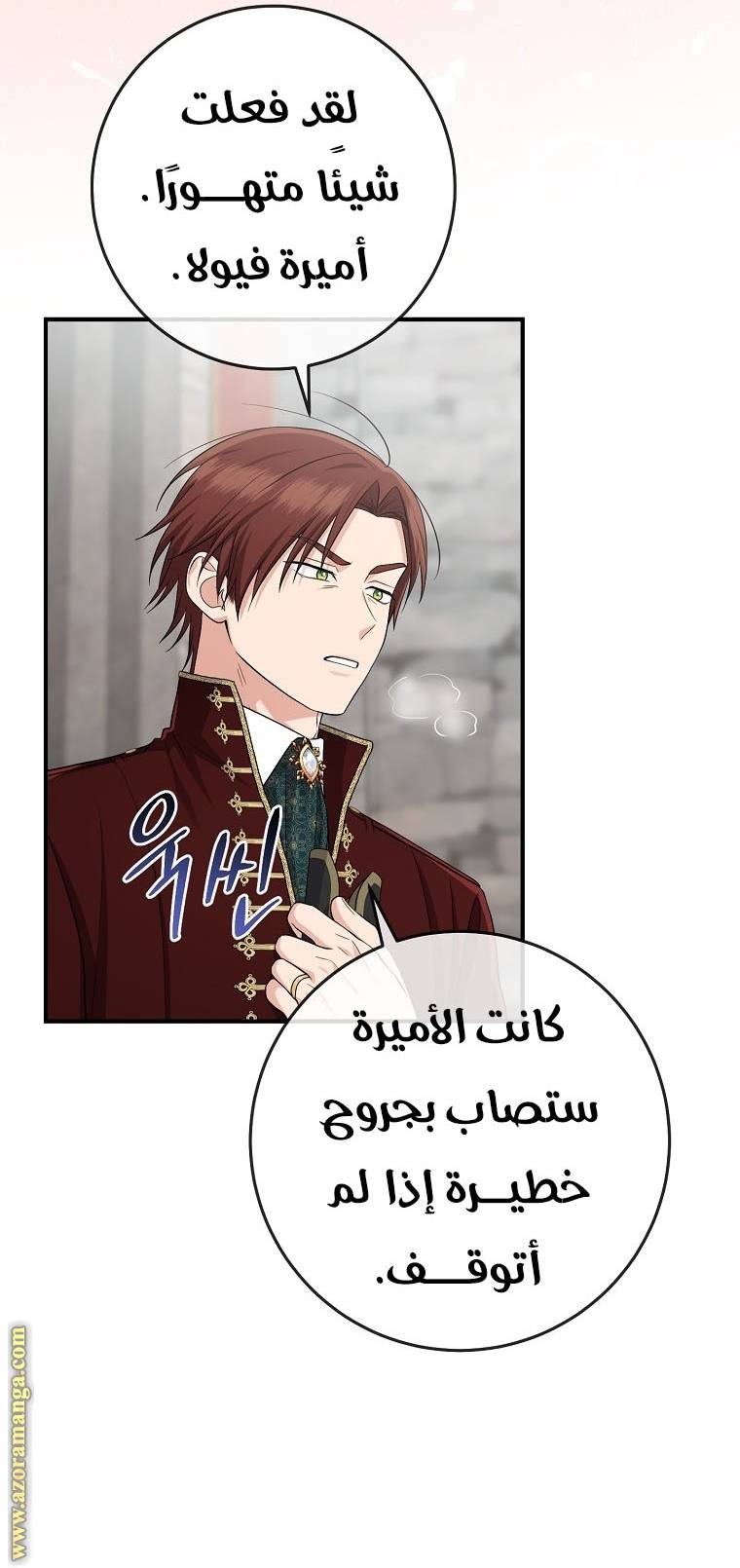 الصفحة 27