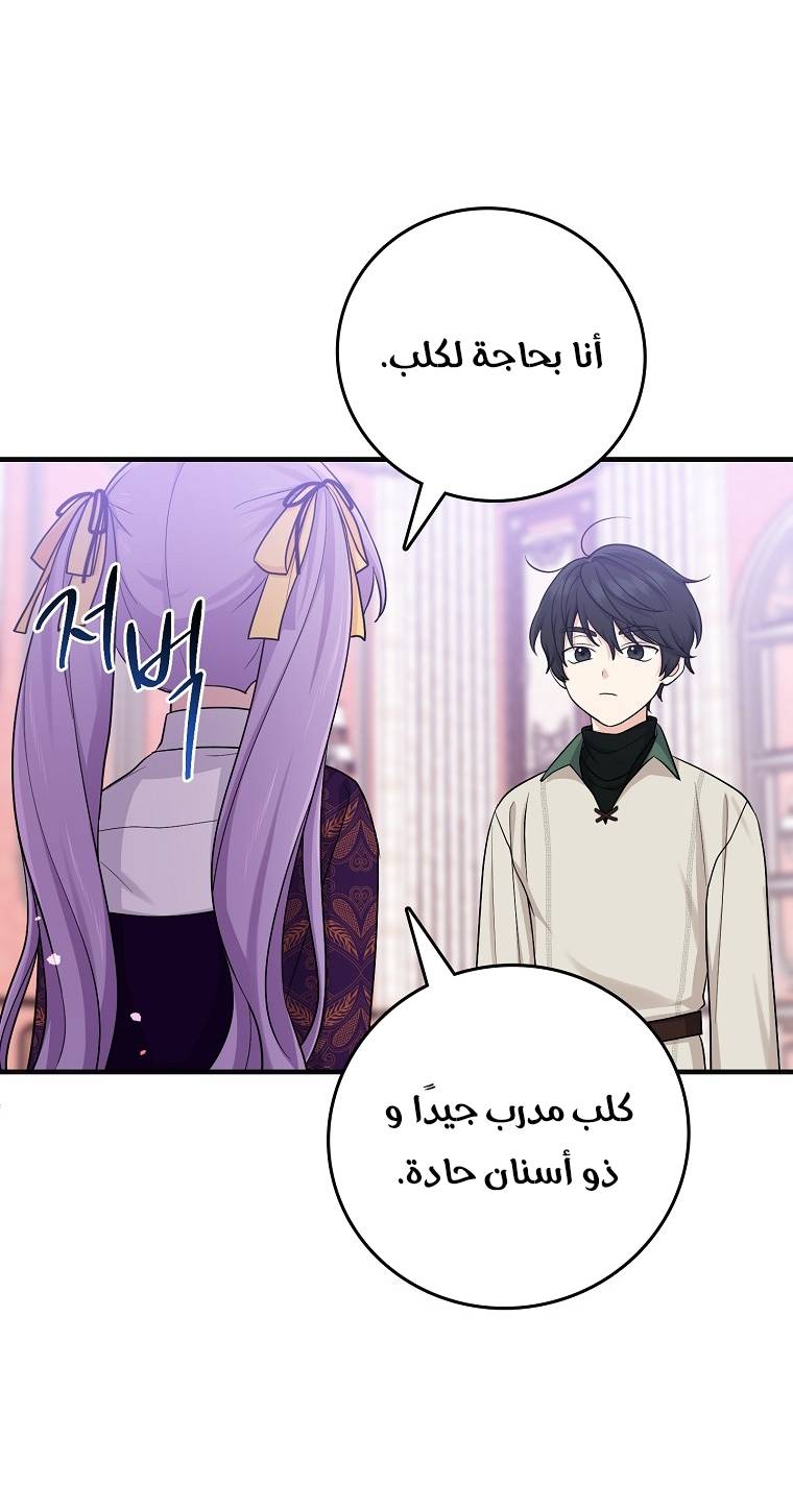 الصفحة 14