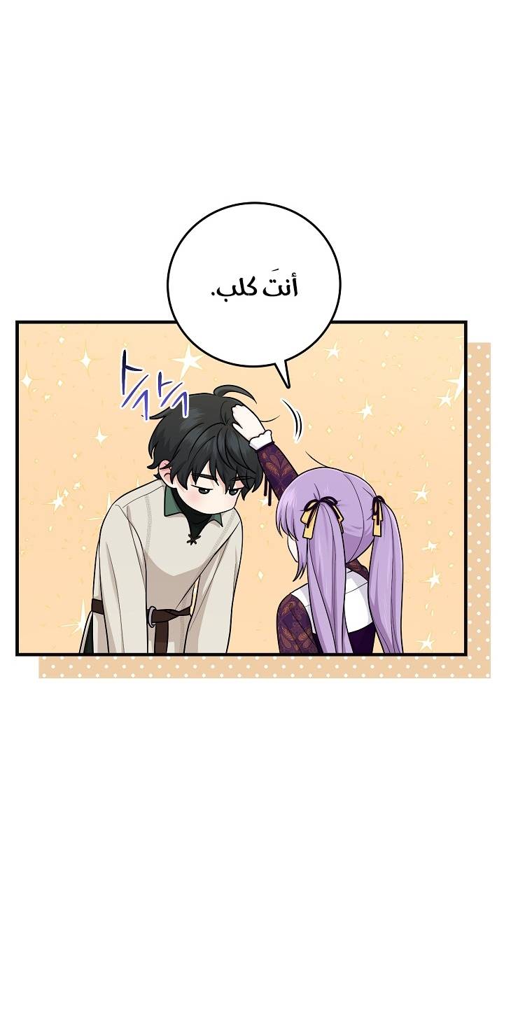 الصفحة 43