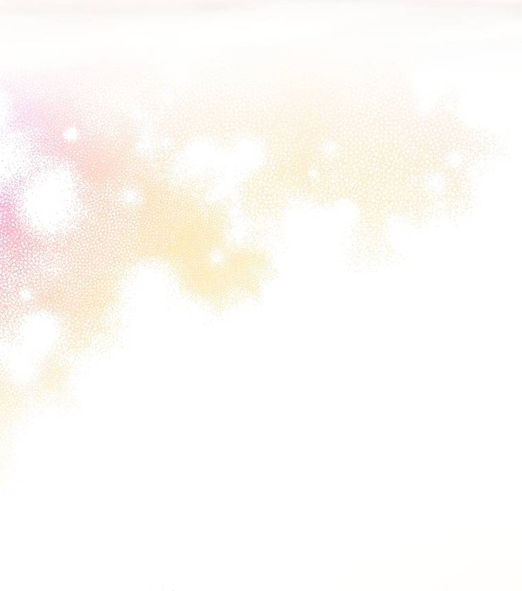 الصفحة 48