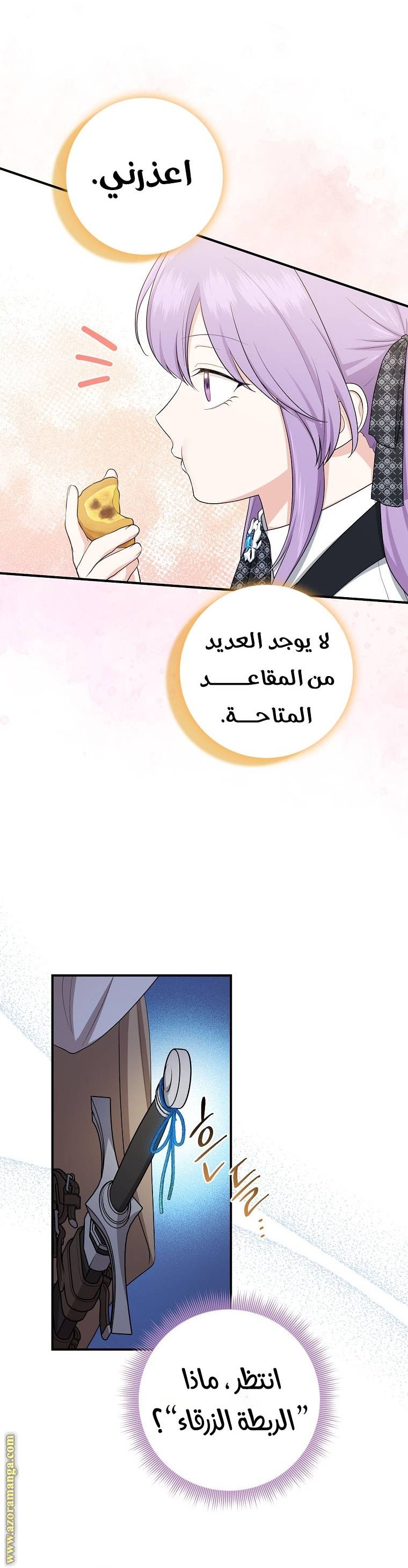 الصفحة 25
