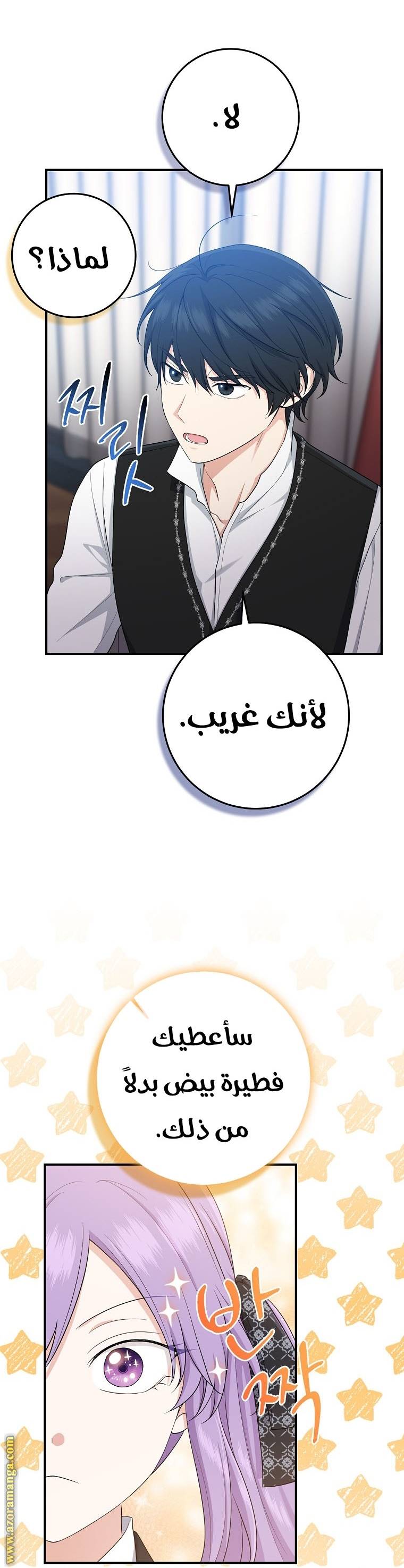 الصفحة 27