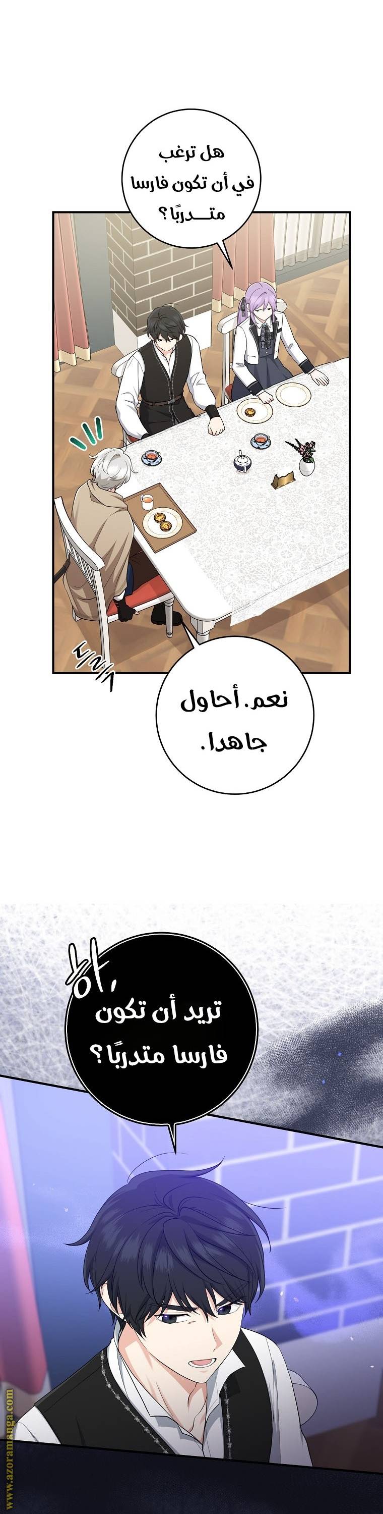 الصفحة 29